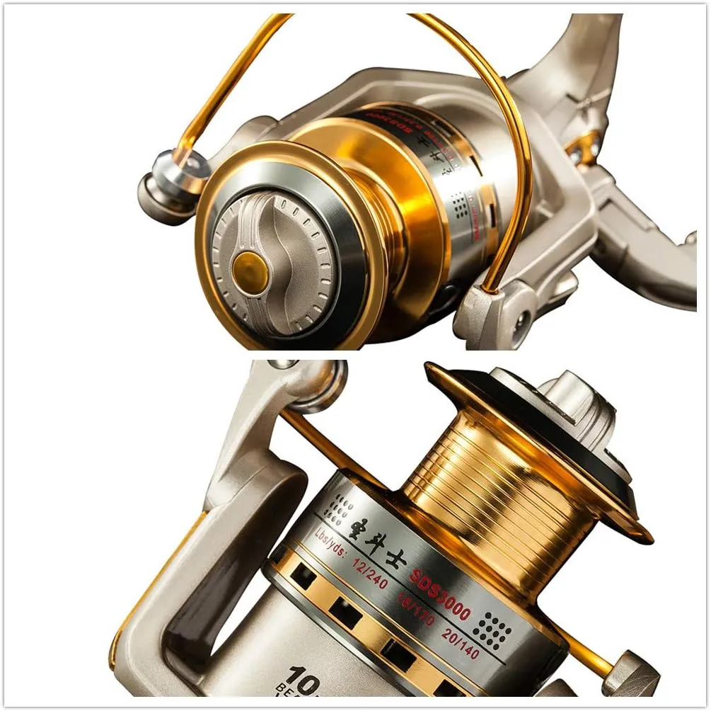 Diwa Spinning Fishing Reels for Saltwater Freshwater 1000 2000 3000 4000 5000 6000 Series Fishing Spool Left/Right Interchangeable Trout Carp Spinning Reel 10 Ball Bearings Light and Smooth