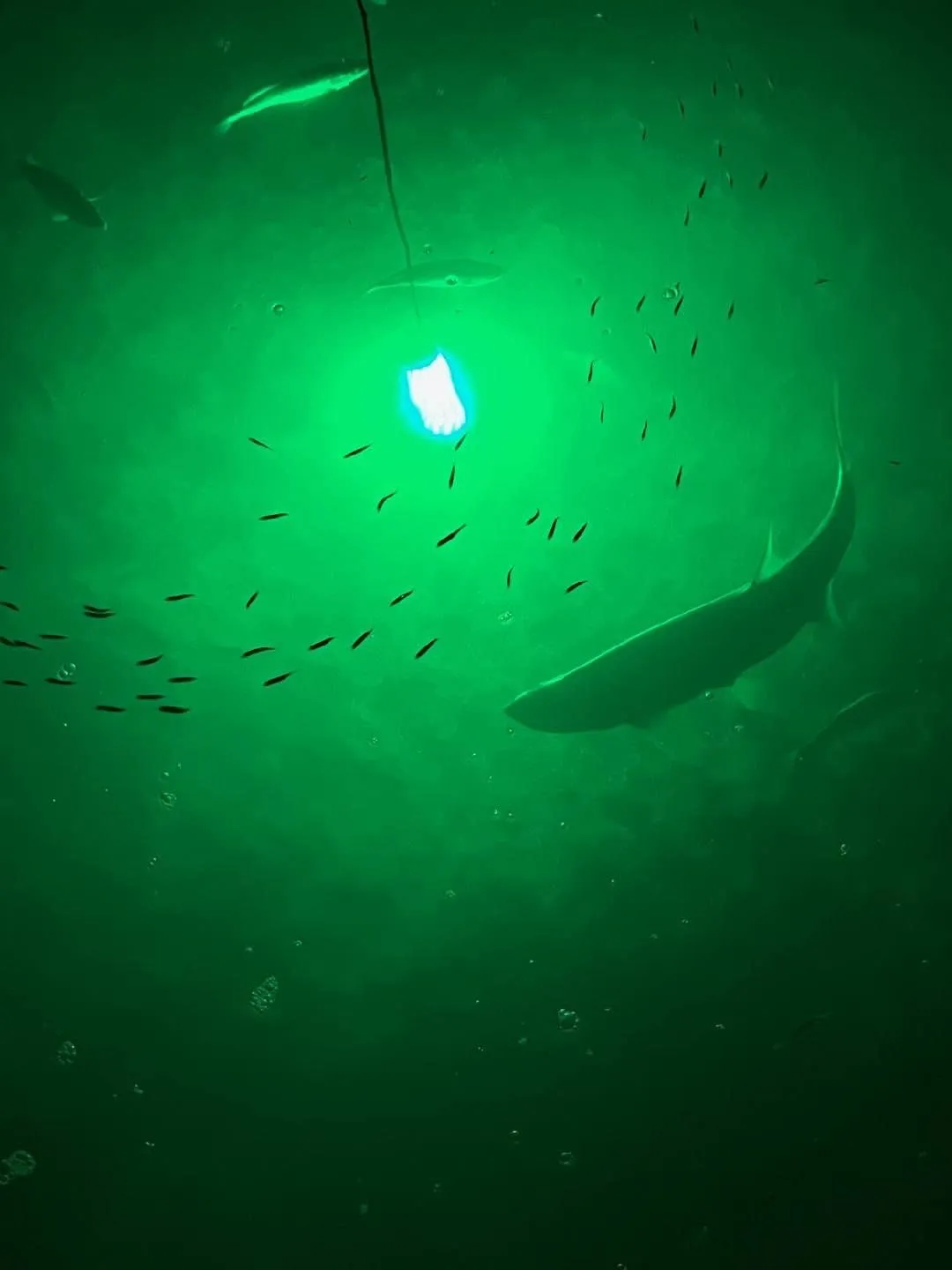 Green Blob Outdoors New Underwater Fishing Light 110 Volt for Docks, LED with Photocell Timer & Remote Control 7500/15000/30000 Lumen Fish Attracting Light, Snook, Crappie, Made in Texas