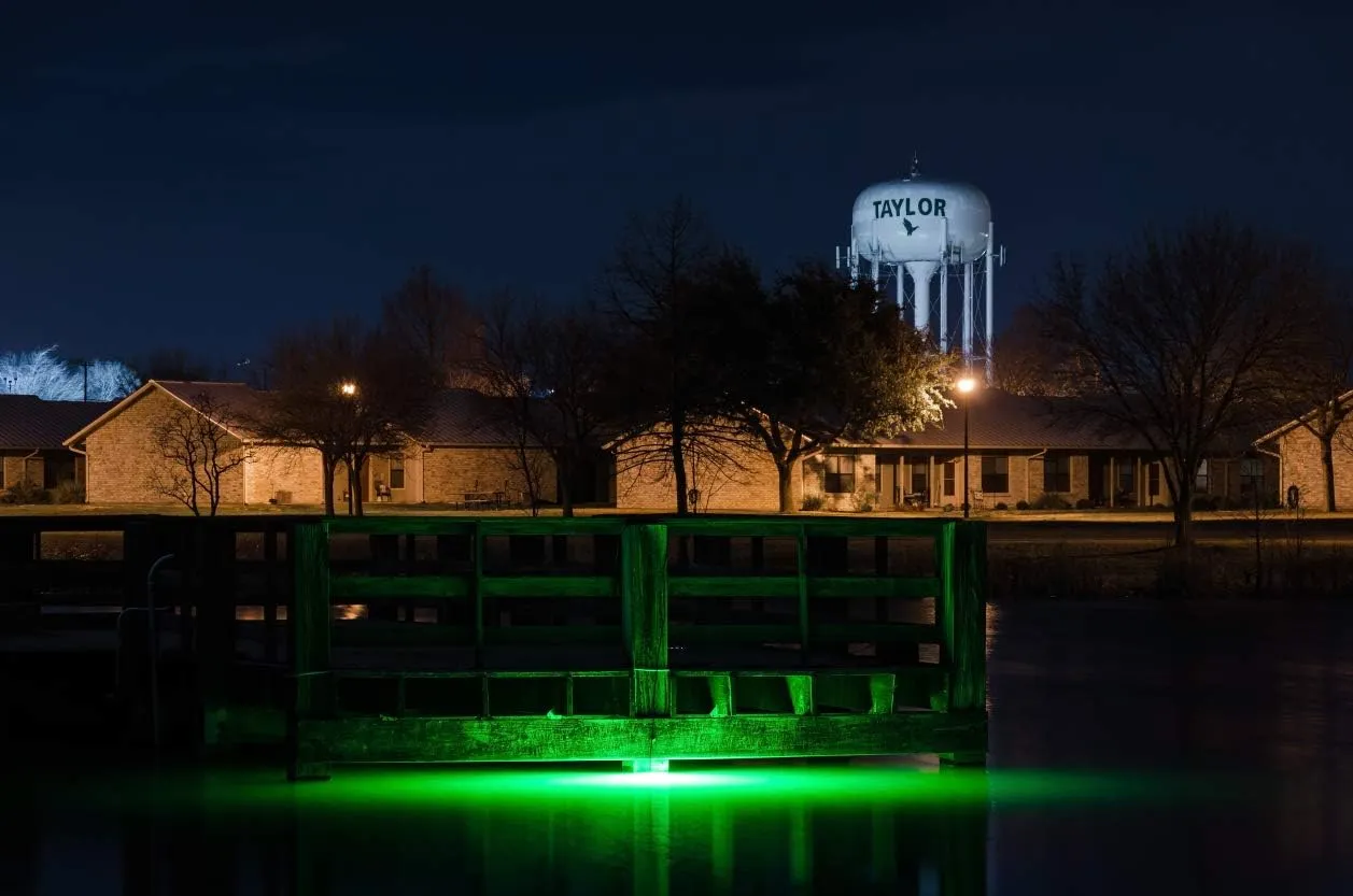Green Blob Outdoors Underwater Fishing Lights, American Made, Docks and Boats, Brightest Fish Attractor for Snook, Bass, Crappie, Striper, Bait, Catfish and More (Green, 110V 15000 30ft)