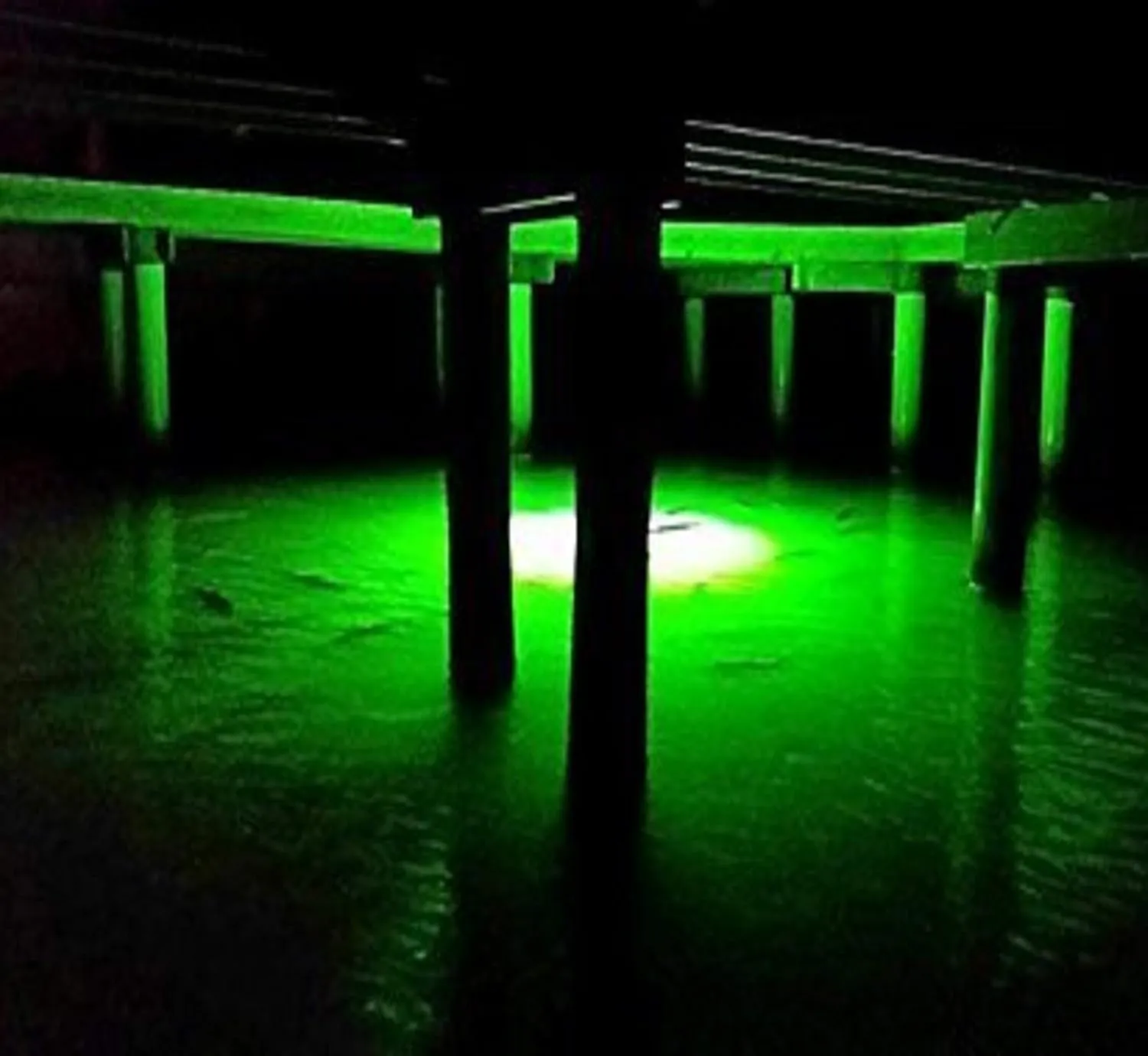 Green Blob Outdoors Underwater Fishing Lights, American Made, Docks and Boats, Brightest Fish Attractor for Snook, Bass, Crappie, Striper, Bait, Catfish and More (Green, 110V 15000 30ft)