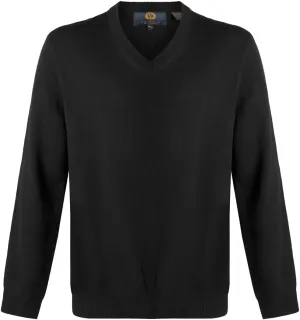 Men's V-Neck Long Sleeve Sweater - Extra Fine Merino Wool