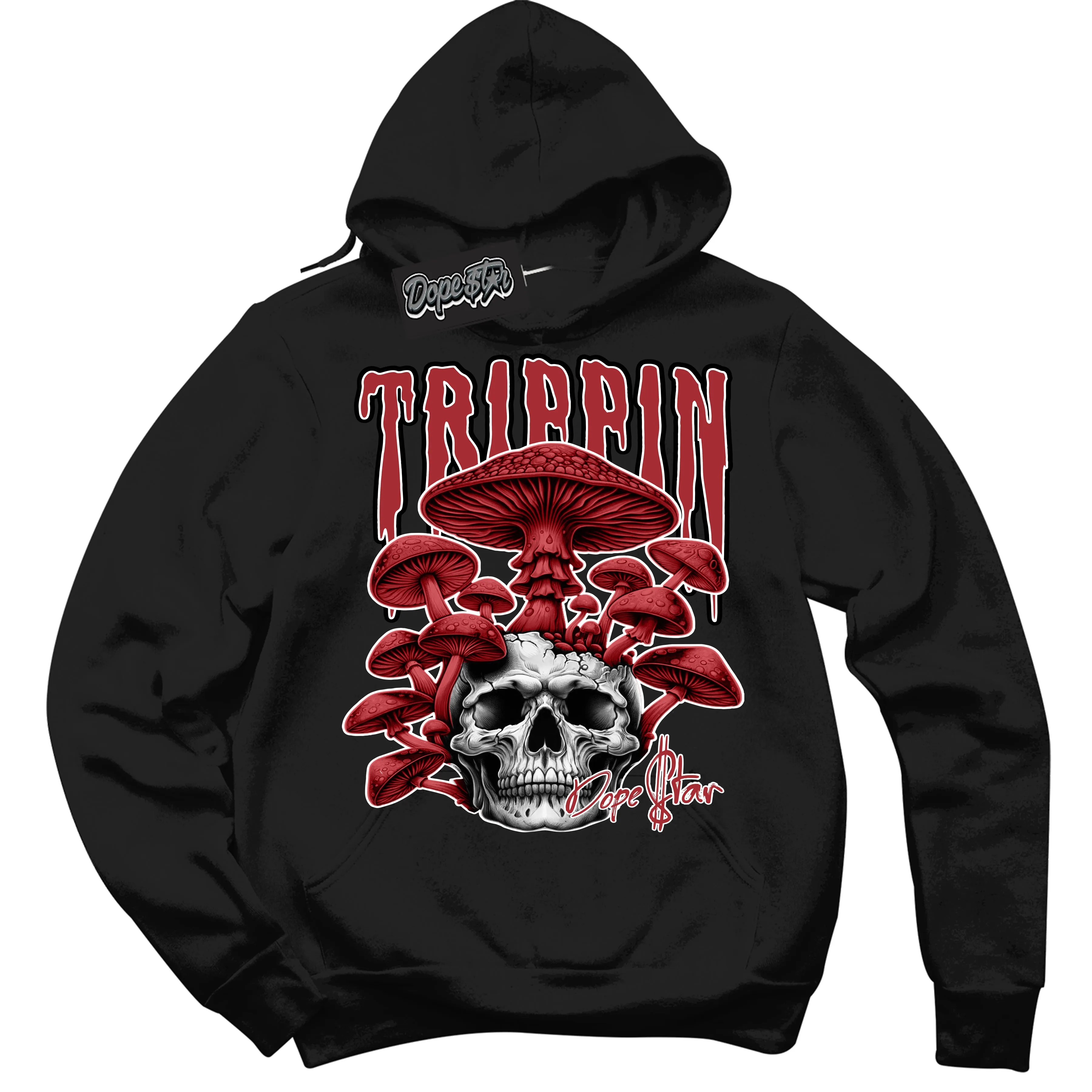 Pro J Pack Chicago Dunk Sneaker Hoodie Trippin Graphic