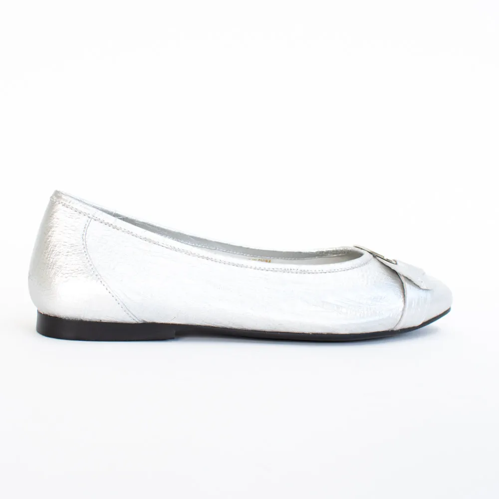 Pushy Silver Snake