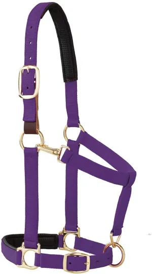 Weaver Equine Breakaway Horse Halter, Comfort Foam Padding, Adjustable Chin & Throat Snap Halters for Horses, Equine Tack,Average Size