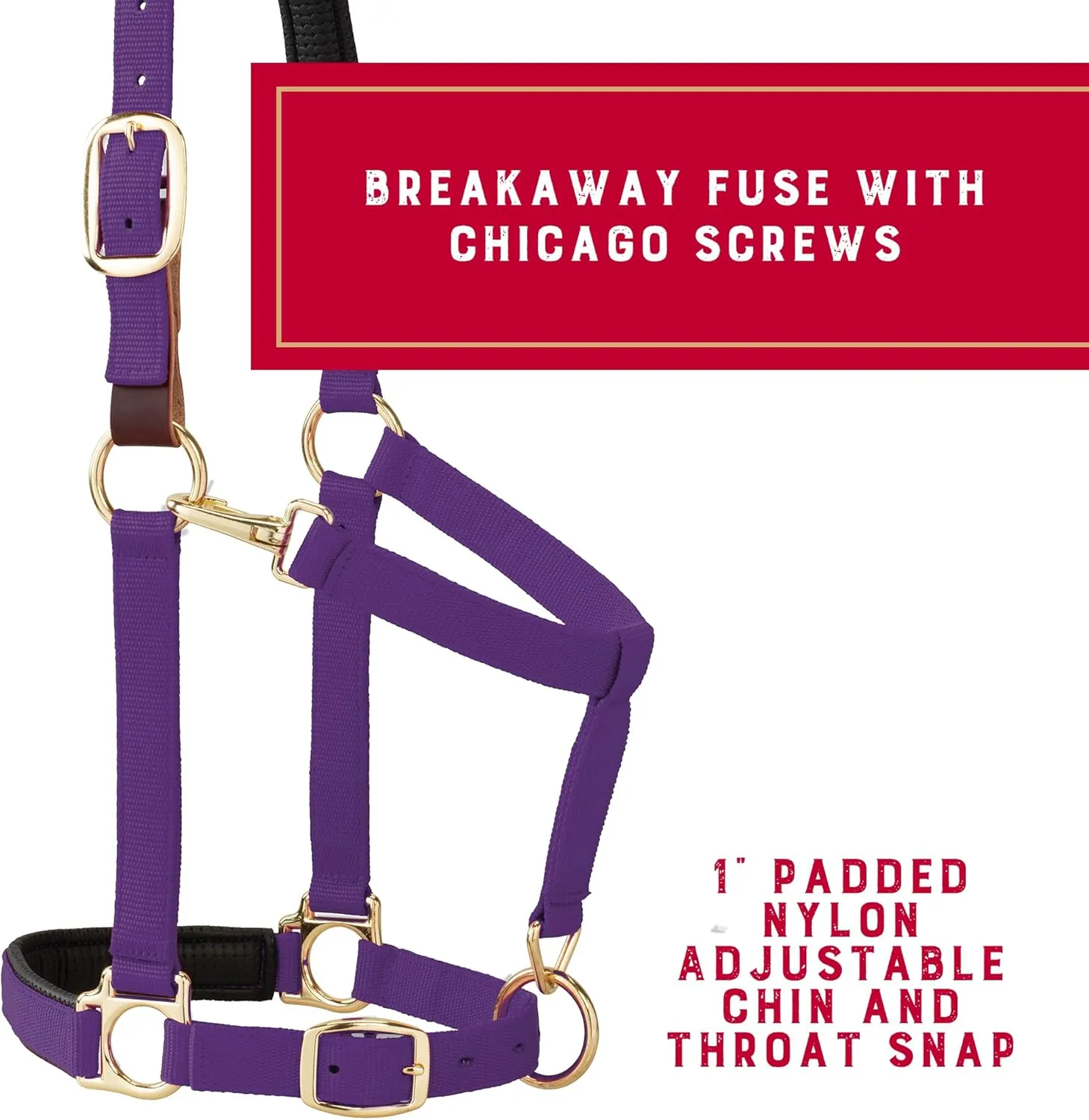 Weaver Equine Breakaway Horse Halter, Comfort Foam Padding, Adjustable Chin & Throat Snap Halters for Horses, Equine Tack,Average Size