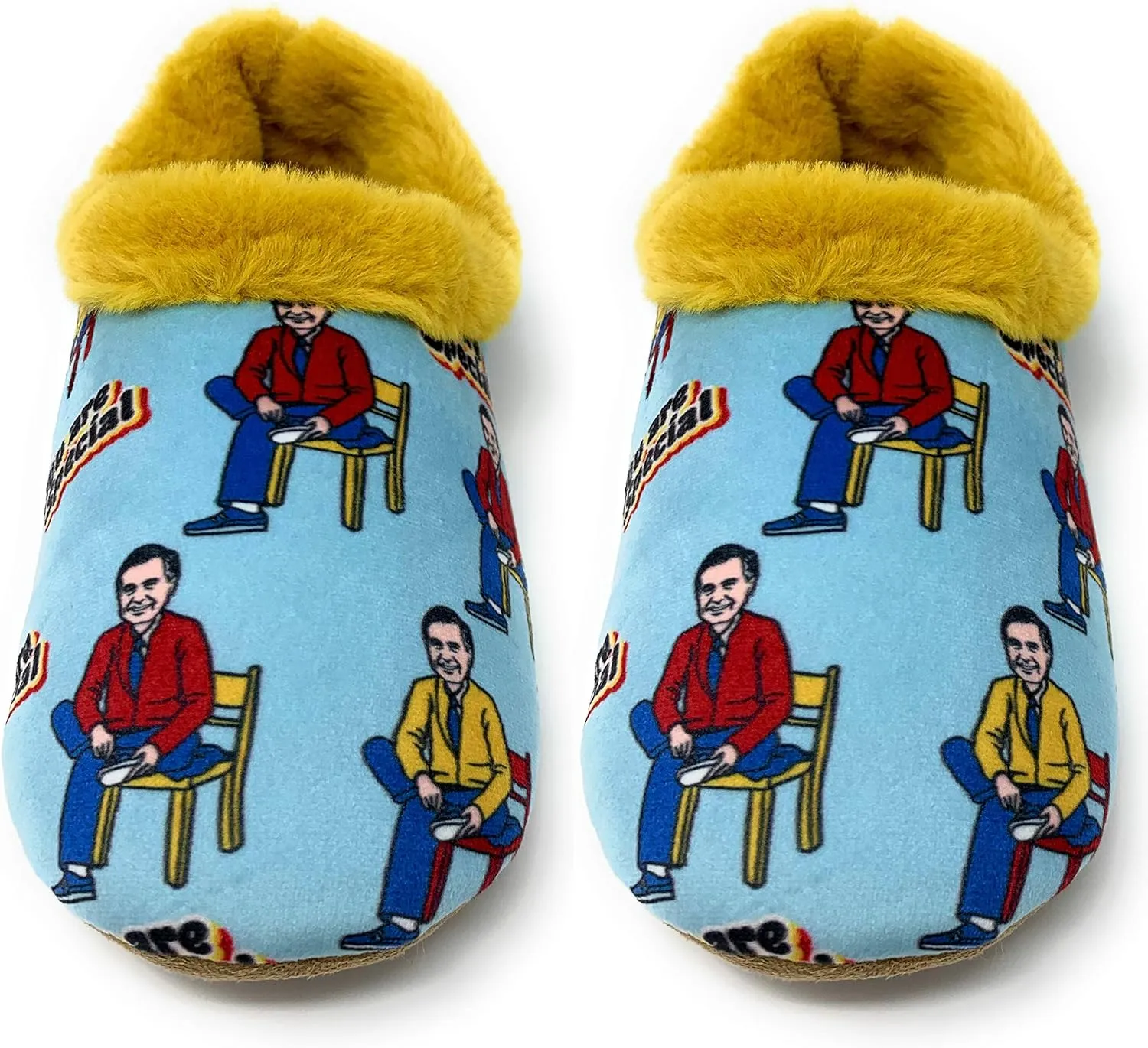 Women's Fuzzy Plush Non-Slip Slippers, Warm Comfy Cozy House Slippers, Fleece Lined Indoor Shoes